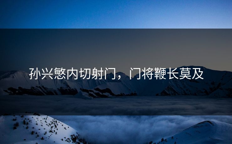 孙兴慜内切射门,门将鞭长莫及 孙兴慜内切射门,门将鞭长莫及
