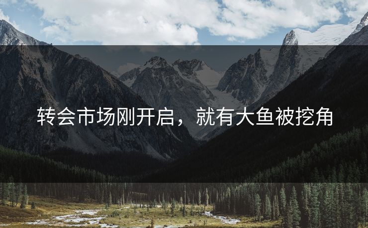 转会市场刚开启，就有大鱼被挖角