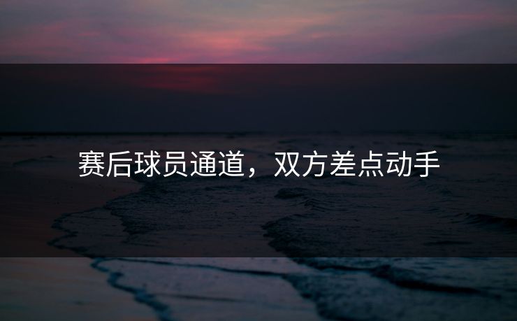 赛后球员通道,双方差点动手 赛后球员通道,双方差点动手