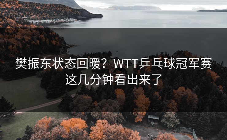 樊振东状态回暖？WTT乒乓球冠军赛这几分钟看出来了